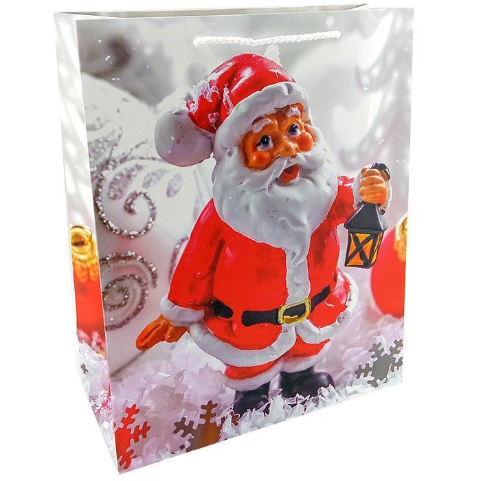Пакет подарочный "Дед Мороз"