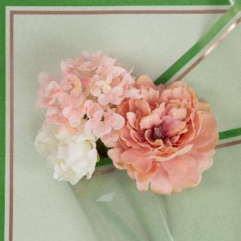 Пленка с двойной каймой, Пастельно-зелёная / листы