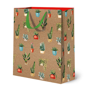 Пакет подарочный "Цветы в кашпо"