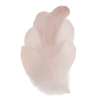 Перья Кремовые
