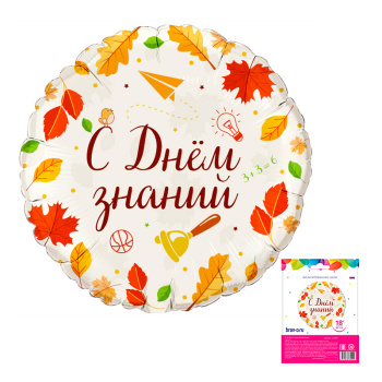 С днем знаний Осень, фольгированный шар в упаковке