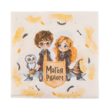 Салфетки Волшебник 