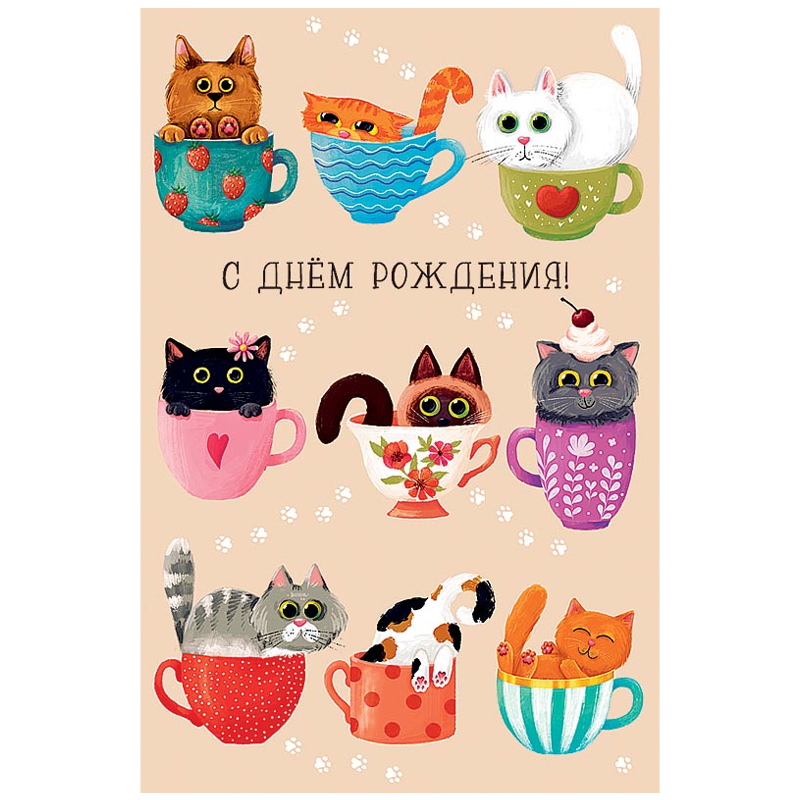 Шоколадная открытка С днем рождения Котик купить в интернет-магазине, подарки по низким ценам