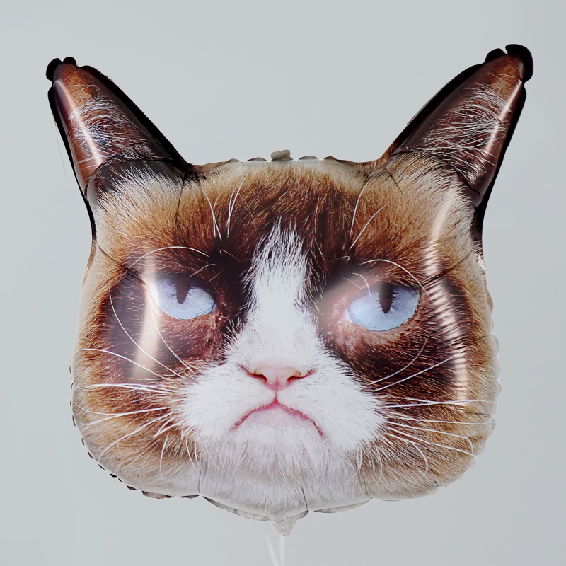 Сердитая кошка голова, фольгированный шар