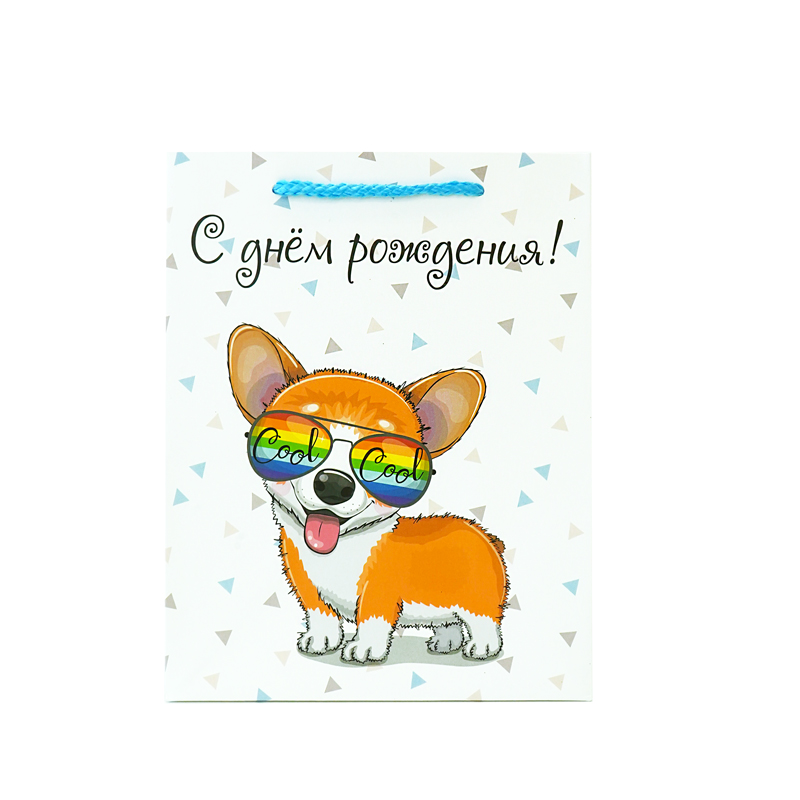 Пакет подарочный "С Днем Рождения. Собачка в очках" 
