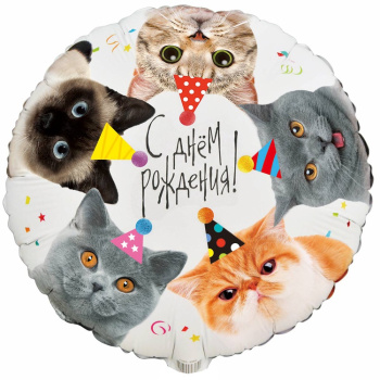 Круг "С днем рождения котики" в упаковке, фольгированный шар