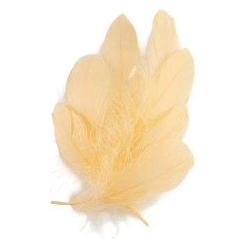 Перья Персиковые