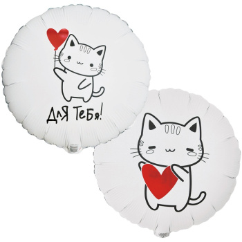 Круг "Для тебя Котик" в упаковке, фольгированный шар