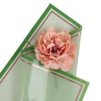 Пленка с двойной каймой, Пастельно-зелёная / листы