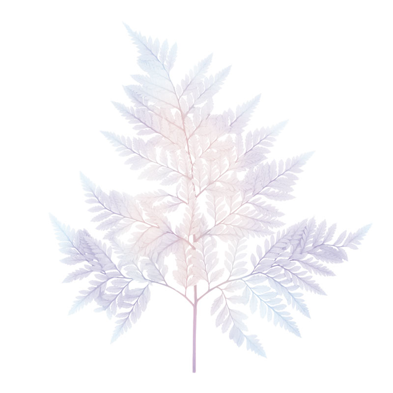 Сиреневые Листья папоротника стабилизированные