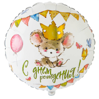 Круг "С днем рождения, Мышонок" в упаковке, фольгированный шар