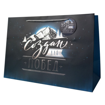 Пакет подарочный "Создан для побед" Тиснение фольгой