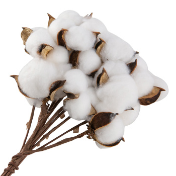 Натуральный хлопок обработанный, 10 коробочек