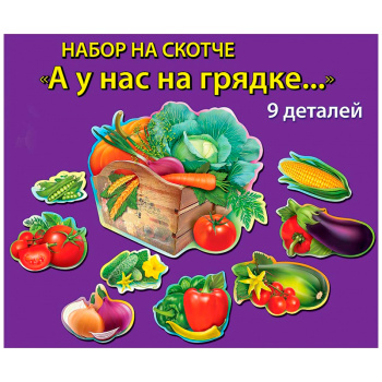 Плакаты на скотче "Овощи" / 360х318 мм / 9 шт