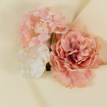 Пленка "Самая нужная", шампань / рулон