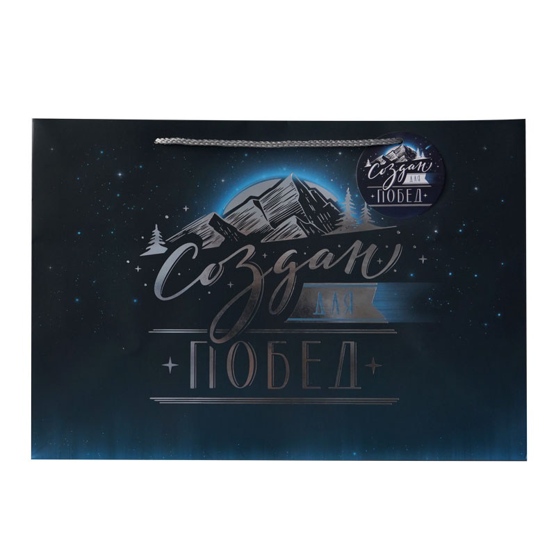 Пакет подарочный "Создан для побед" Тиснение фольгой