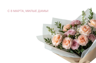 Компания БРАВО поздравляет вас!