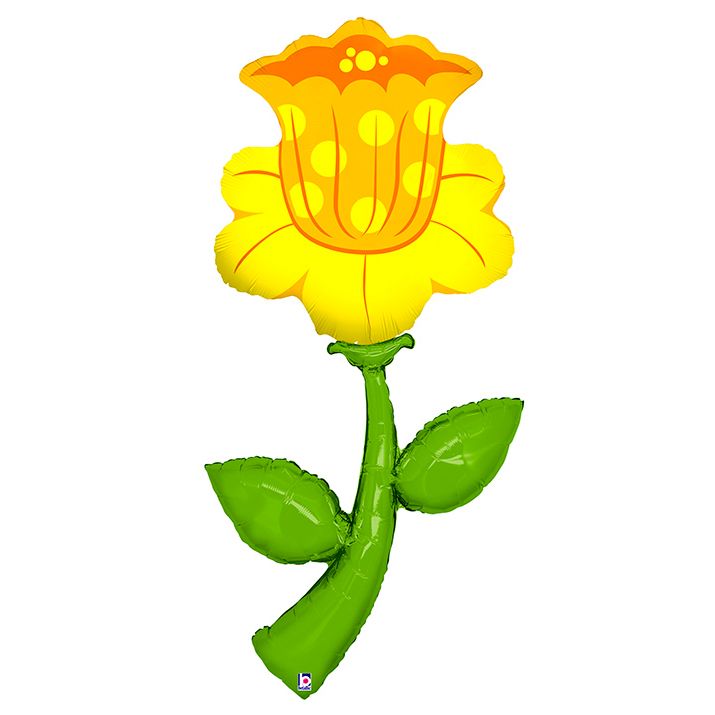 Нарцисс / Fresh Picks™ Daffodil