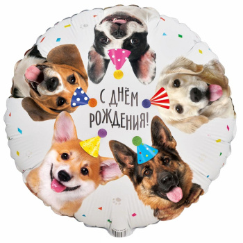 Круг "С днем рождения собачки" в упаковке, фольгированный шар