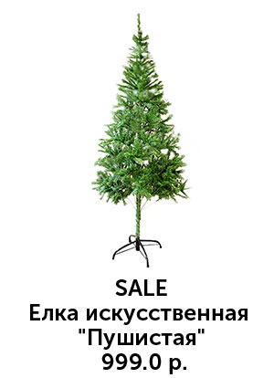 Елка-пушистая.jpg