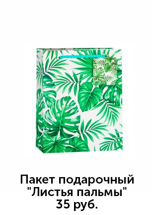 Пакет-листья-пальмы.jpg