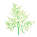 Бирюзовые Листья папоротника стабилизированные