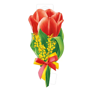 Плакат "Красный тюльпан с веточкой мимозы" 