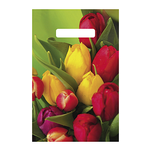 Пакет подарочный «Разноцветные тюльпаны» 