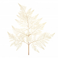 Белые Листья папоротника стабилизированные