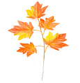 Ветка кленовых листьев, Желто-оранжевая 
