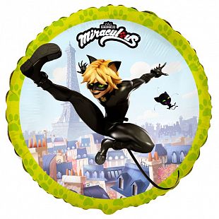 Супер Кот / Miraculous Cat Noir