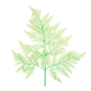 Бирюзовые Листья папоротника стабилизированные